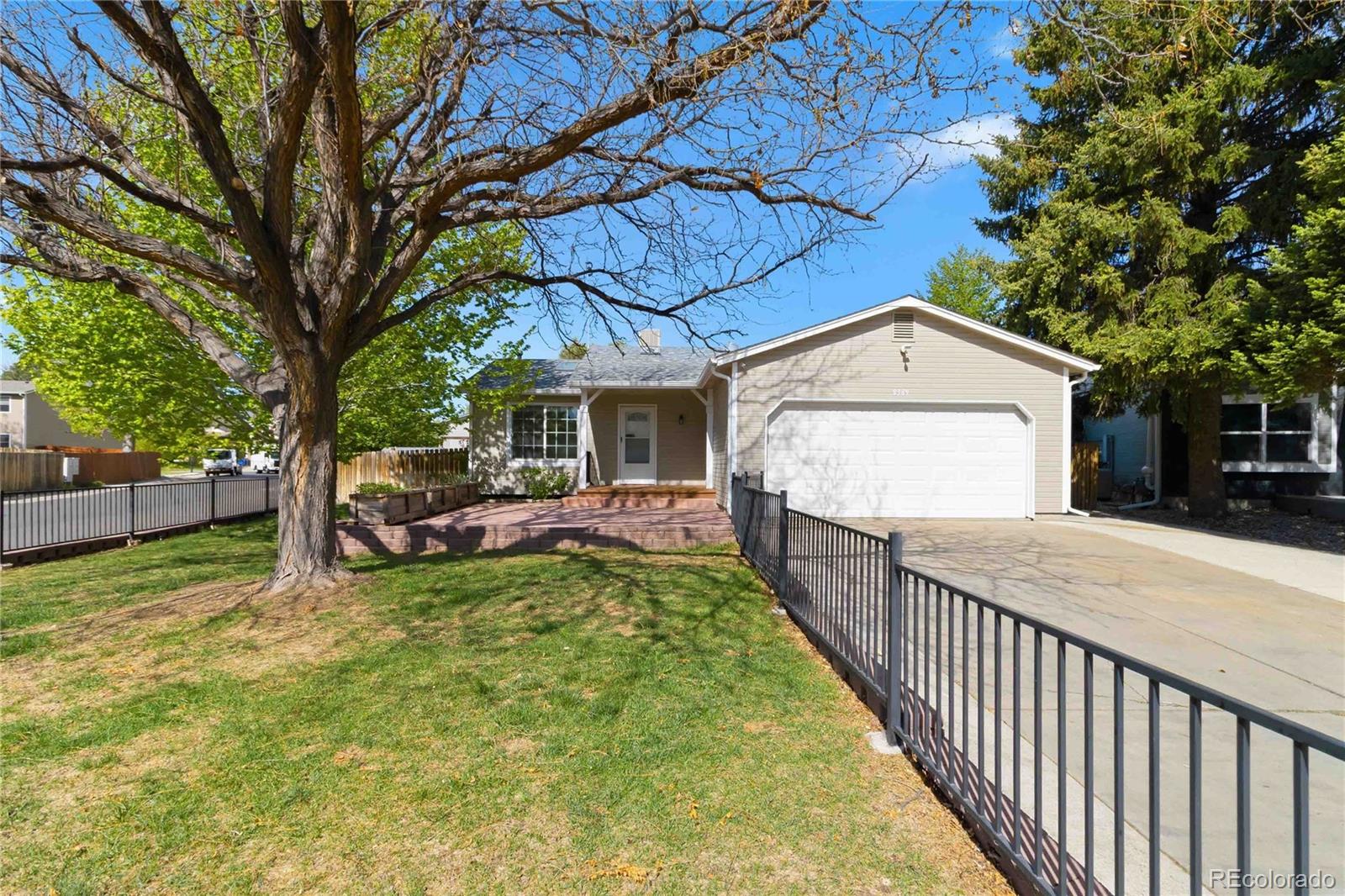 8389 Curlycup Place