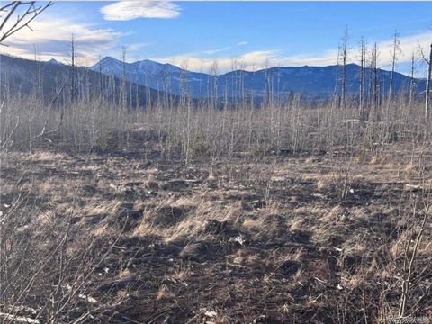 1290 Clayton Road Fort Garland CO 81133