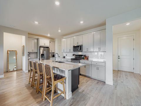 4059 Happy Hollow Drive Castle Rock CO 80104