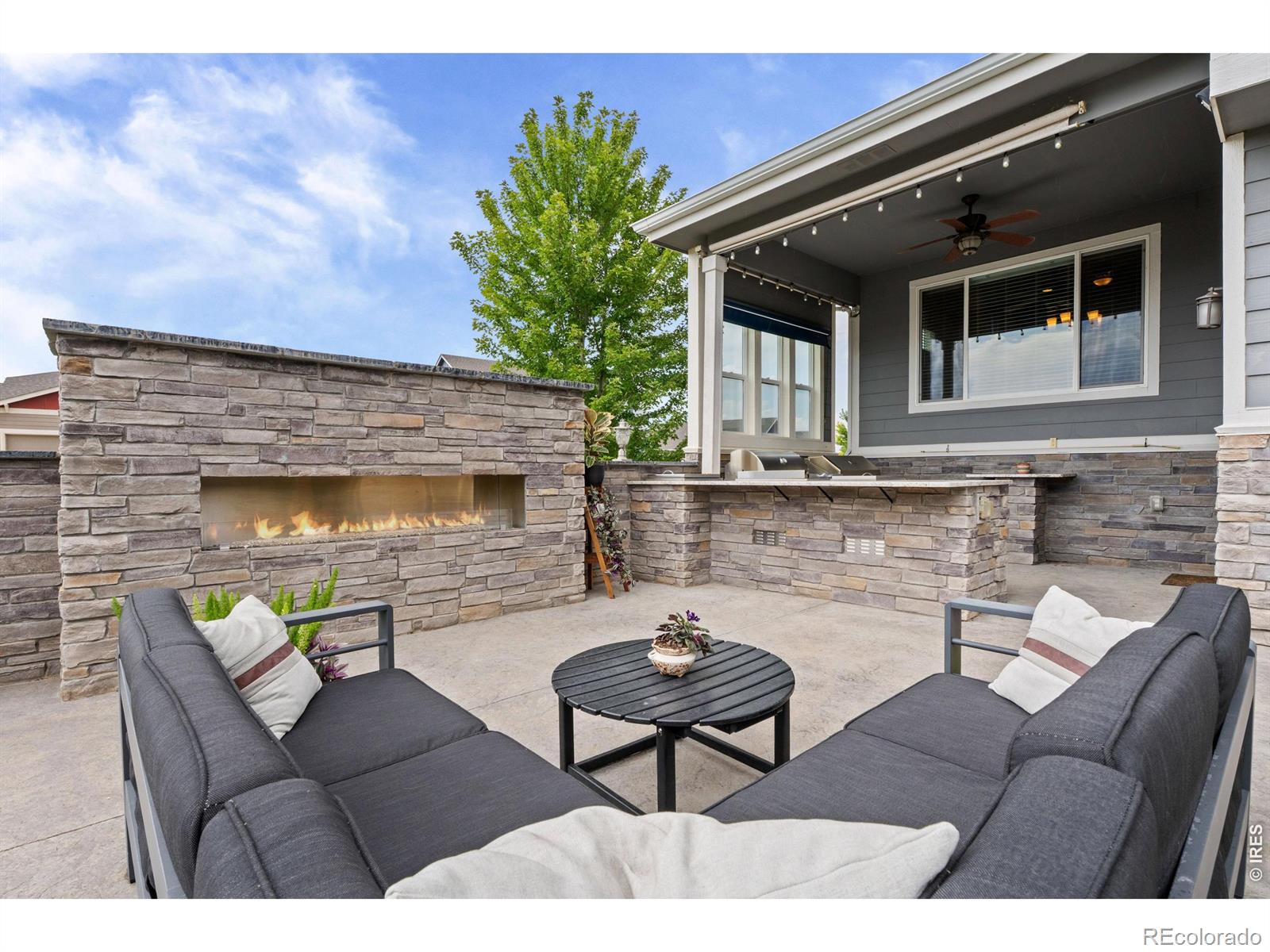 897 Shade Tree Drive