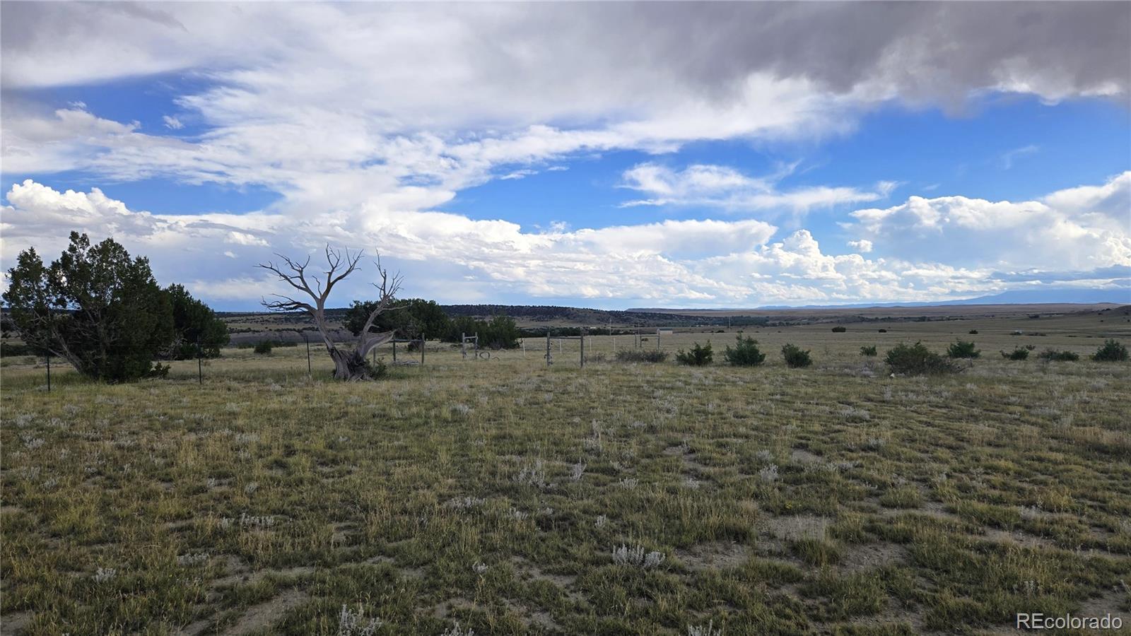 1428 Carlson Road, Rye, CO, 81069 4 1428 Carlson Road
