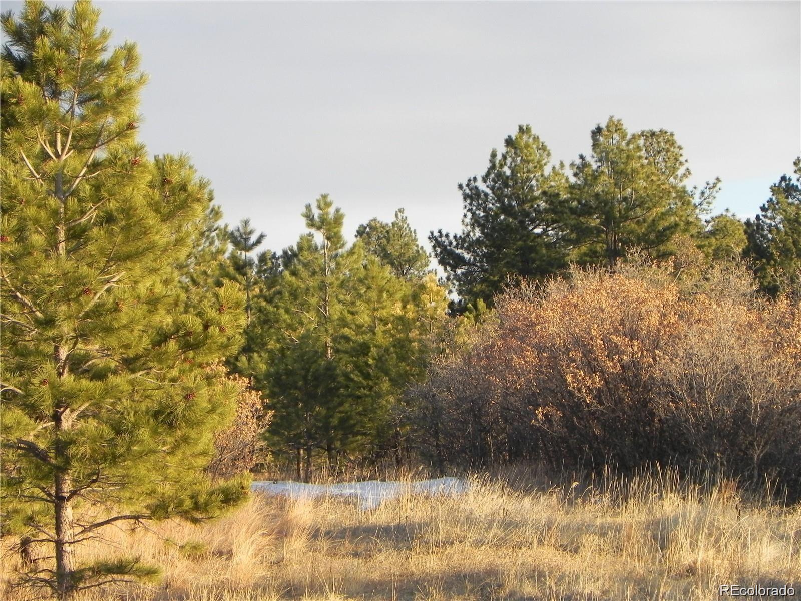 2366 Lupine Circle