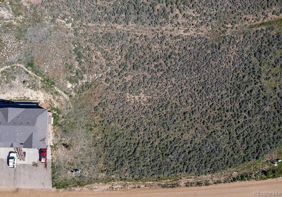 985 Forrest Drive