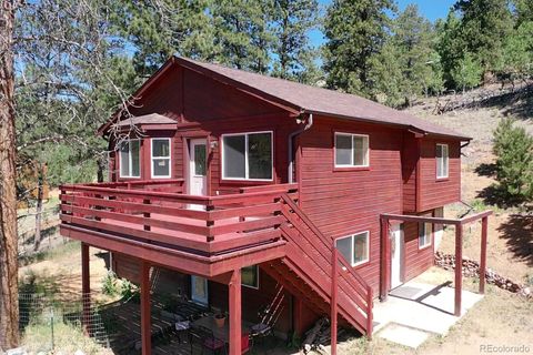 261 Wilkins Road Bailey CO 80421