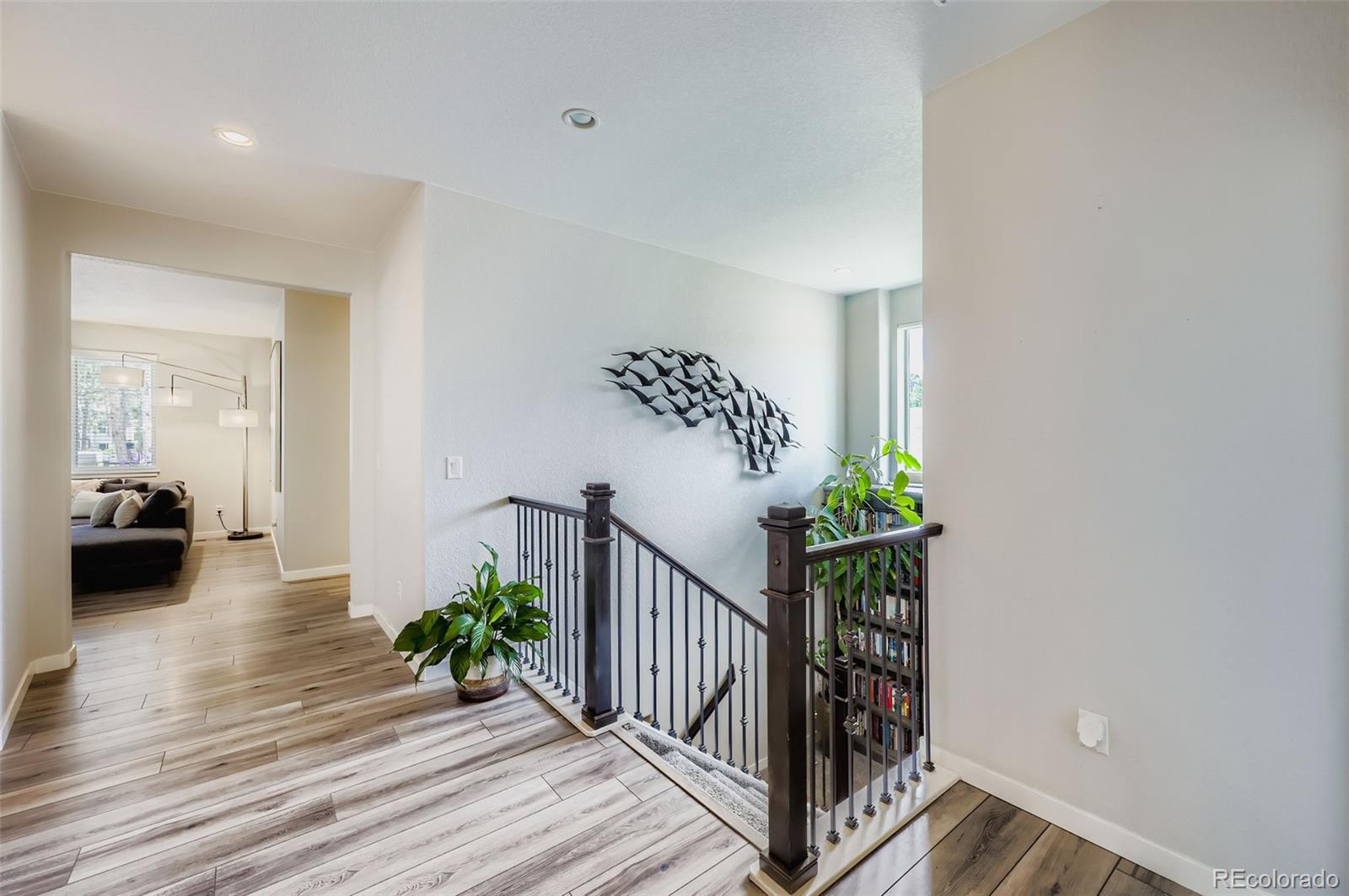 1621 Lazy Cat Lane