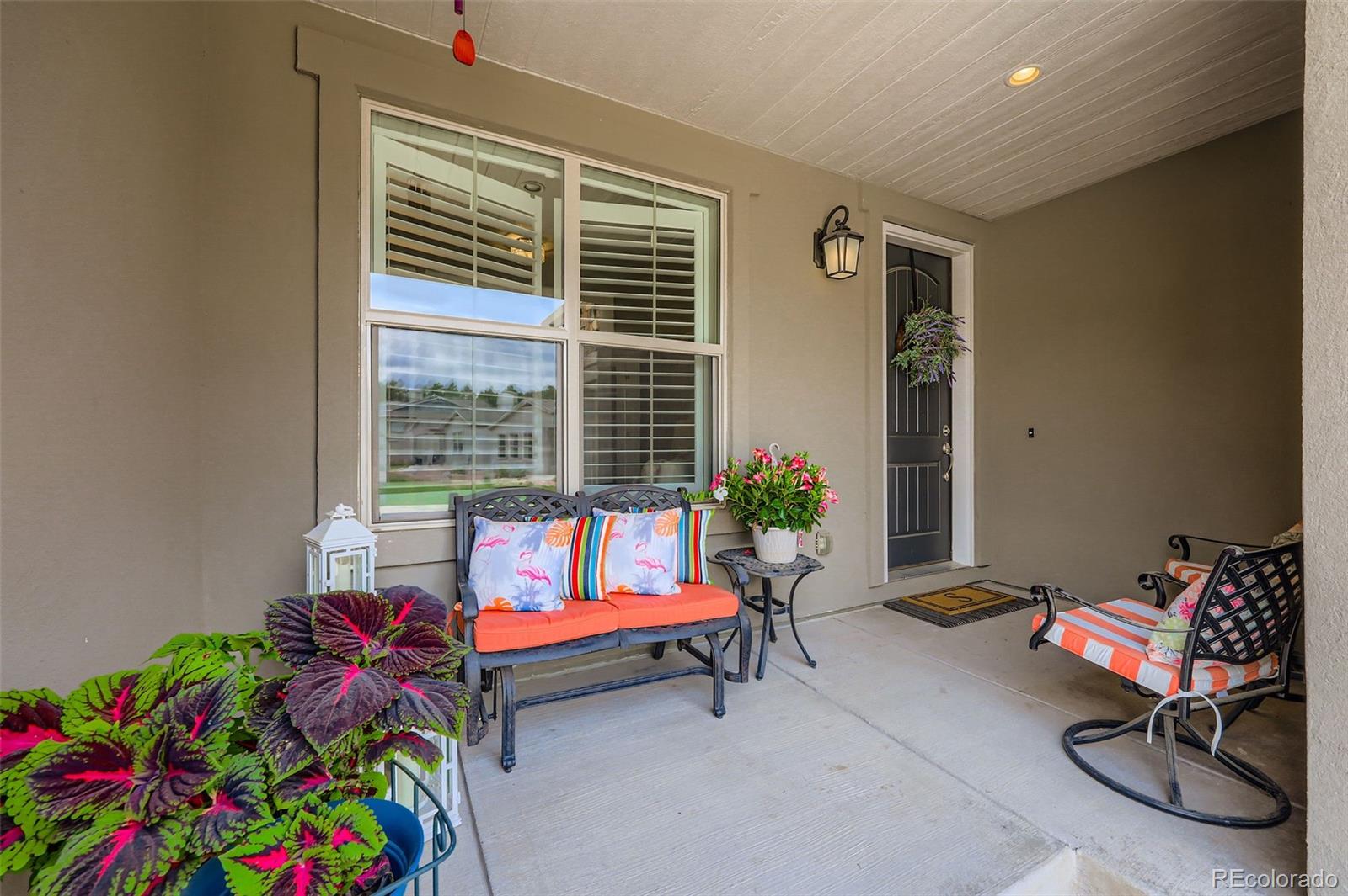 1621 Lazy Cat Lane