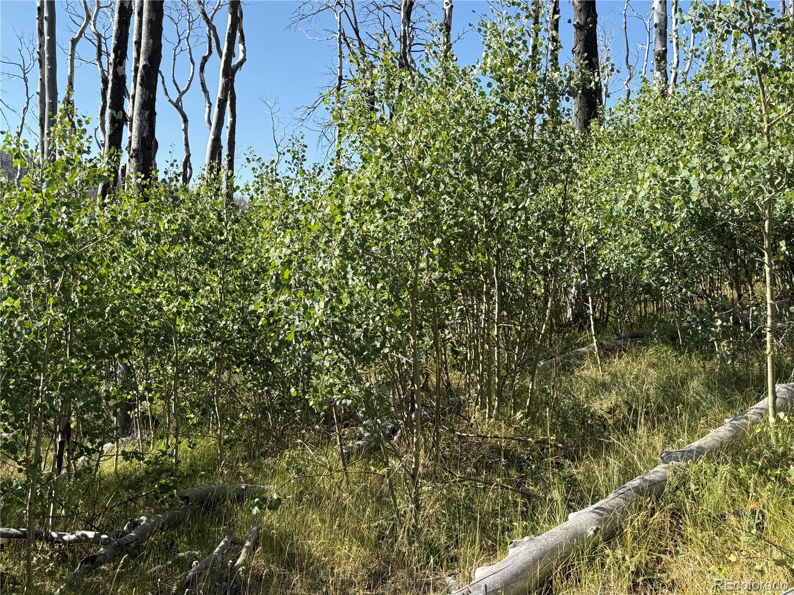 Lot 427 Kettleson Place