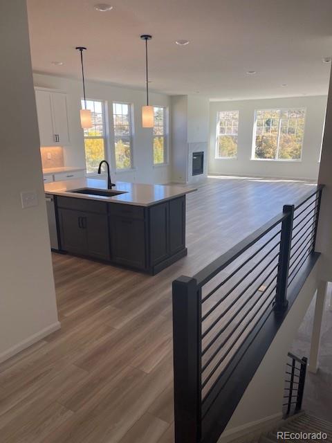 2860 Madrona Court