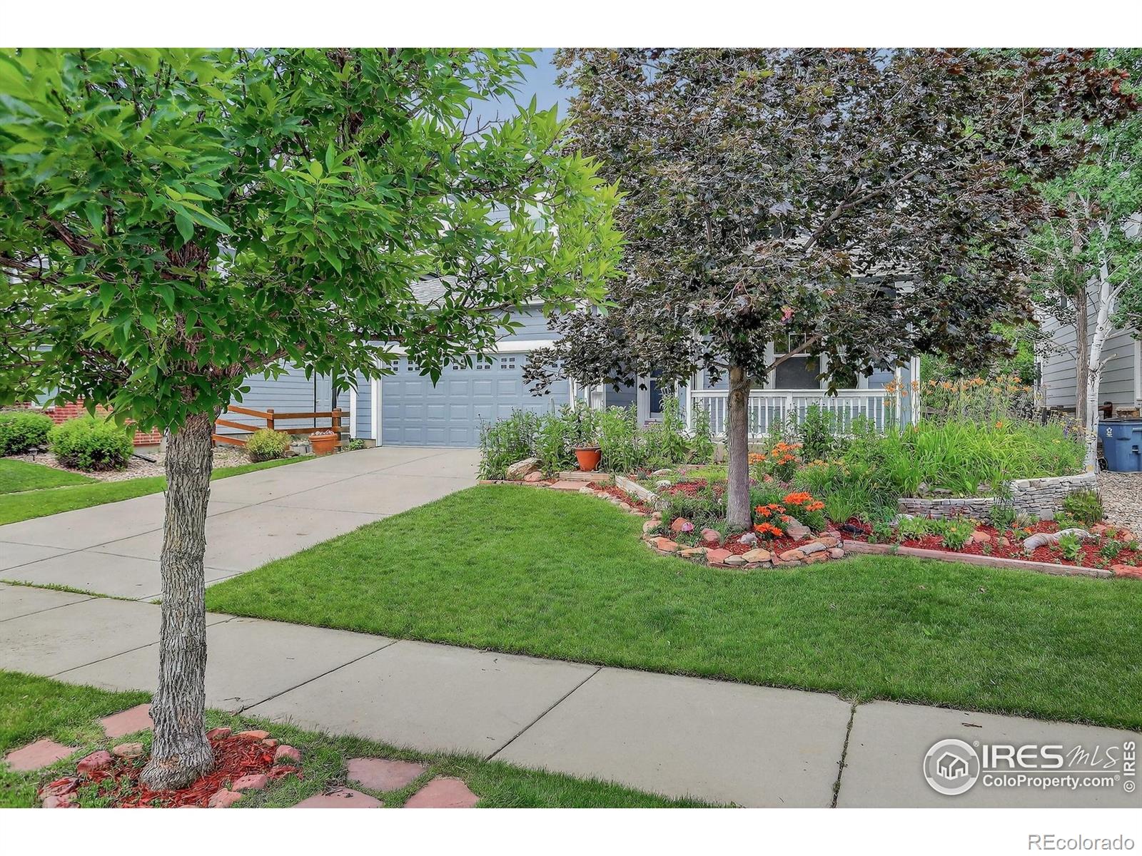 940 Petras Street, Erie, CO, 80516 2 940 Petras Street