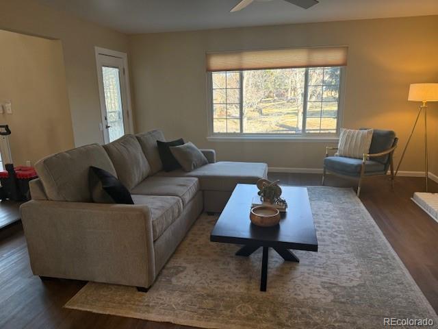 8170 S Tamarac Street