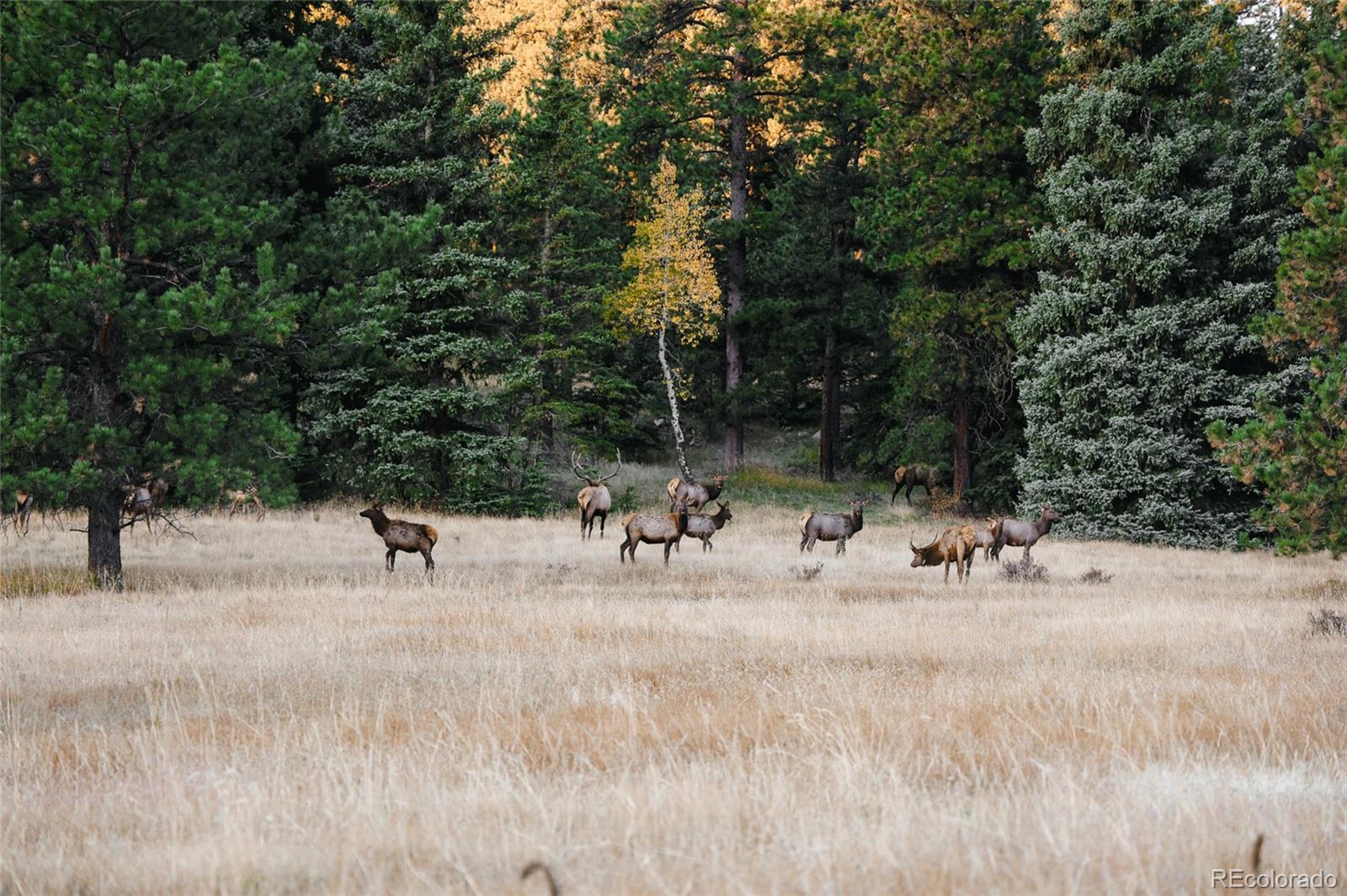 Upper Bear Creek Road