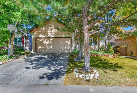4124 S Ireland Court Aurora CO 80013