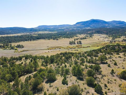 000 Rosebush Road Canon City CO 81212