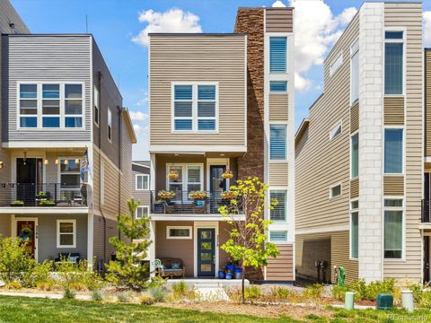 2578 Palau Way Castle Rock CO 80109