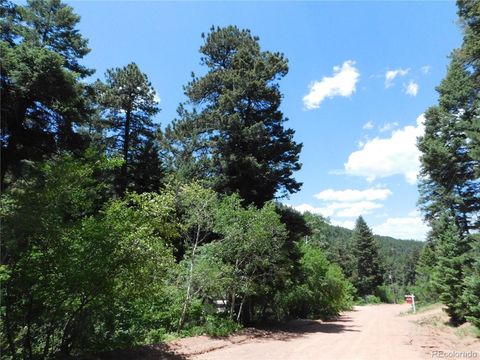 13371 Spruce Creek Circle Larkspur Co 80118