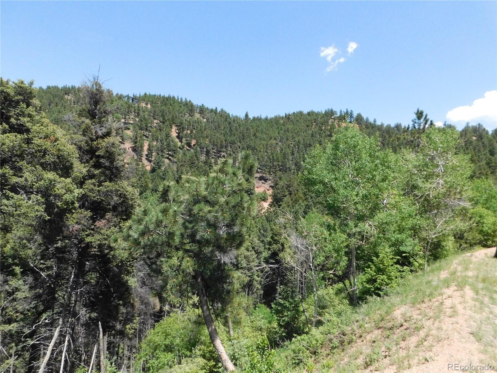 13371 Spruce Creek Circle, Larkspur, CO, 80118 13371 Spruce Creek Circle