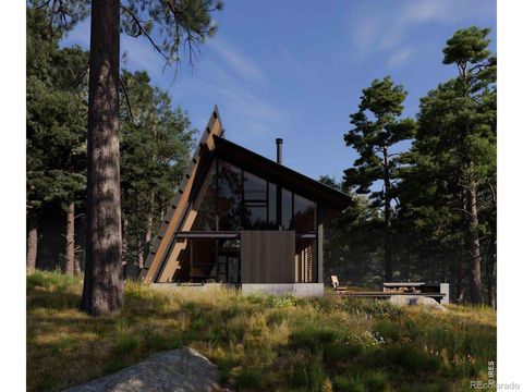 1182 Ridge Road Nederland CO 80466
