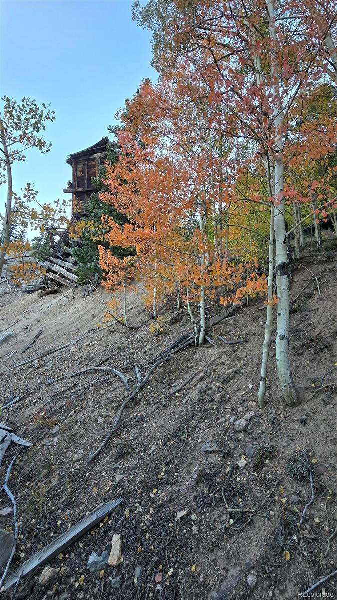 Democrat Mountain Claims