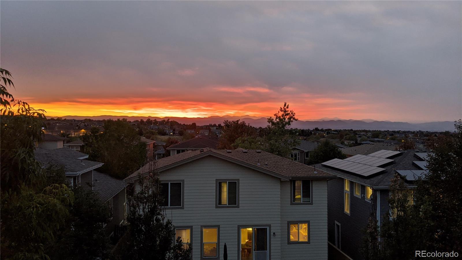 10797 Hickory Ridge Street