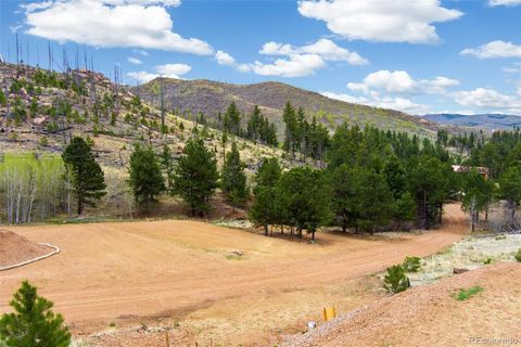 13990 S State Highway 67 Woodland Park CO 80863