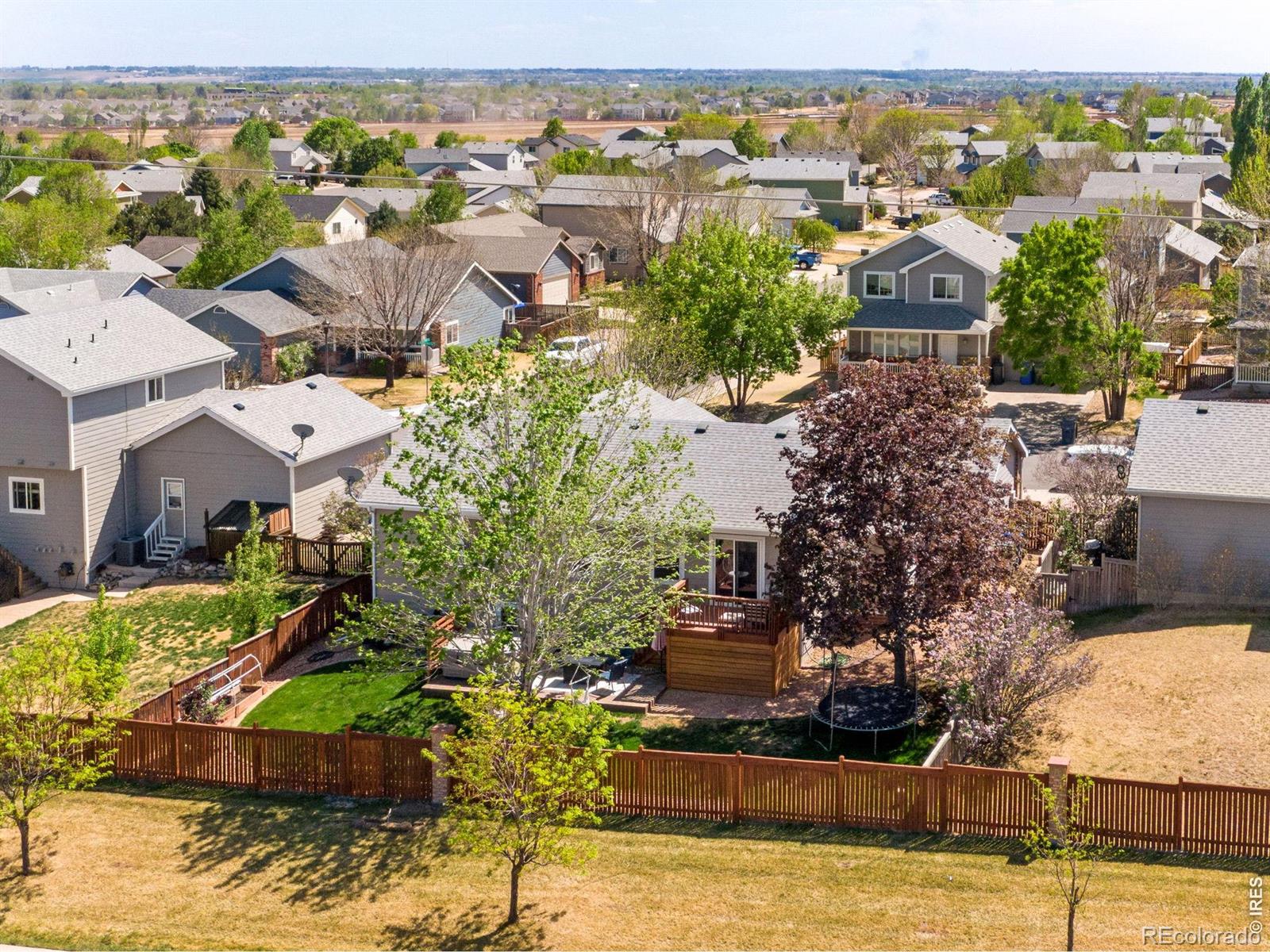 3765 Downieville Street