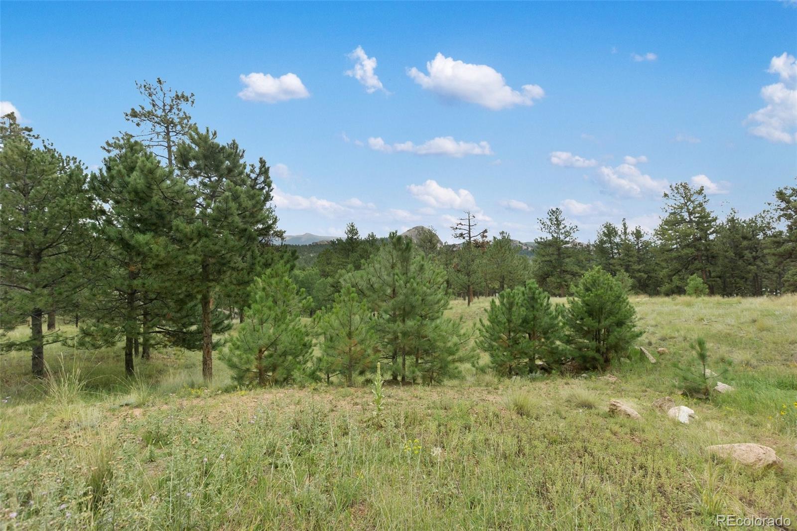 1058 Hackamore Drive, Florissant, CO, 80816 2 1058 Hackamore Drive