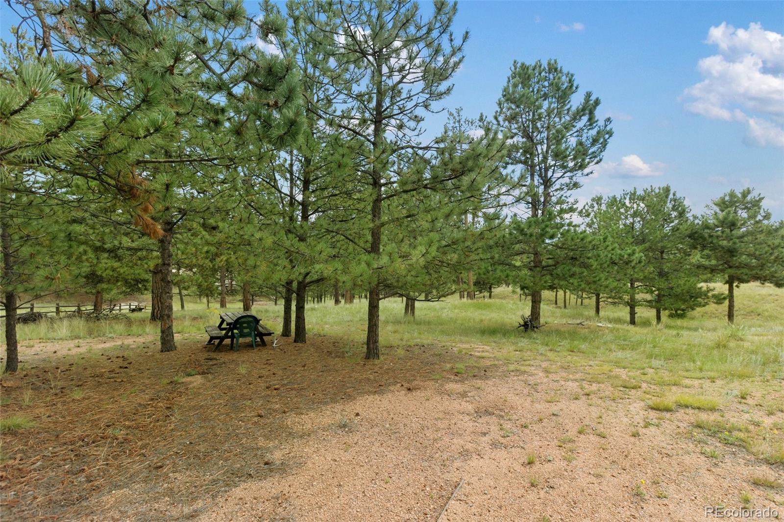 1058 Hackamore Drive, Florissant, CO, 80816 4 1058 Hackamore Drive