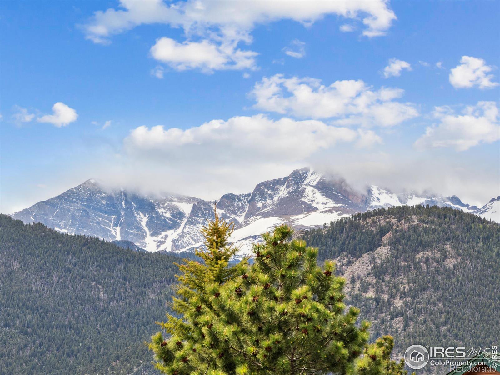 321 Big Horn Drive E-4, Estes Park, CO, 80517 1 321 Big Horn Drive E-4