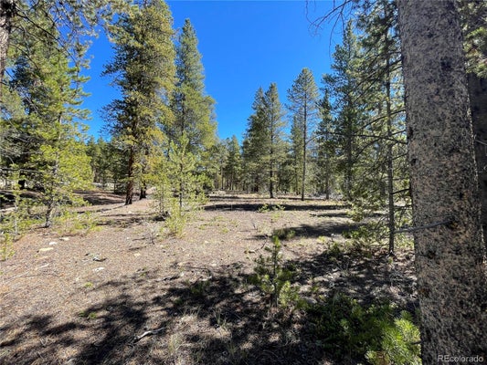100 VIRGINIA AVENUE, LEADVILLE, CO 80461 - Image be72e3310b56b24b414d6f05e30b91c4/1337066189