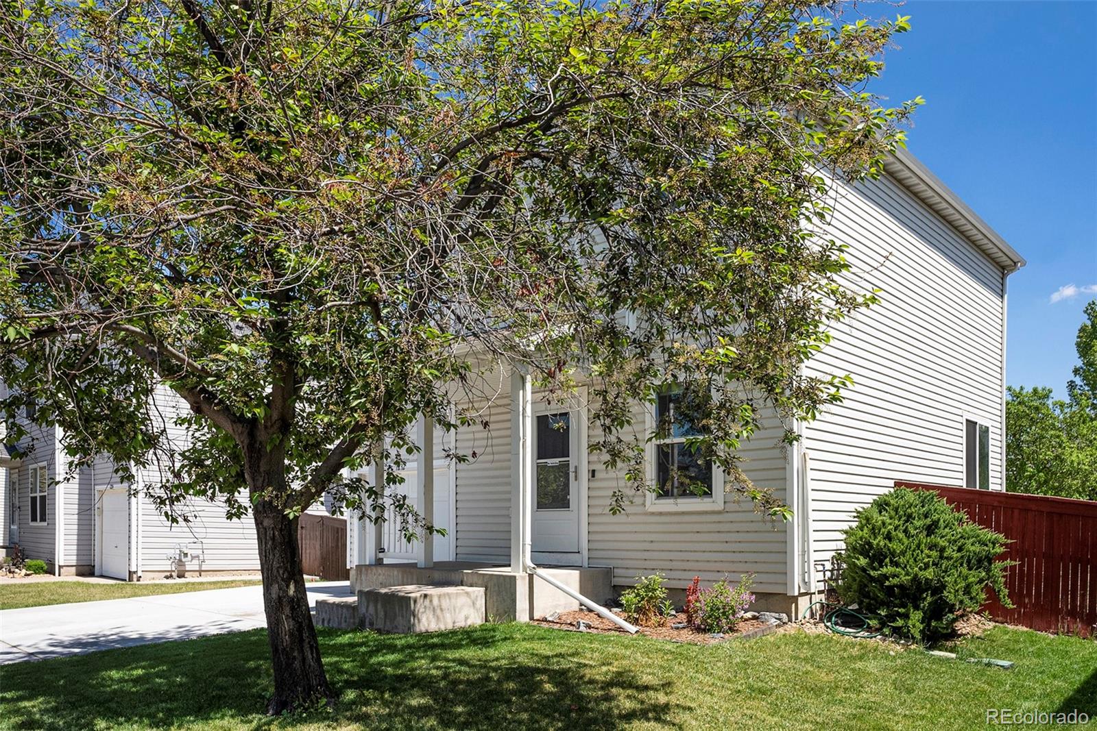 1232 Bluebird Street