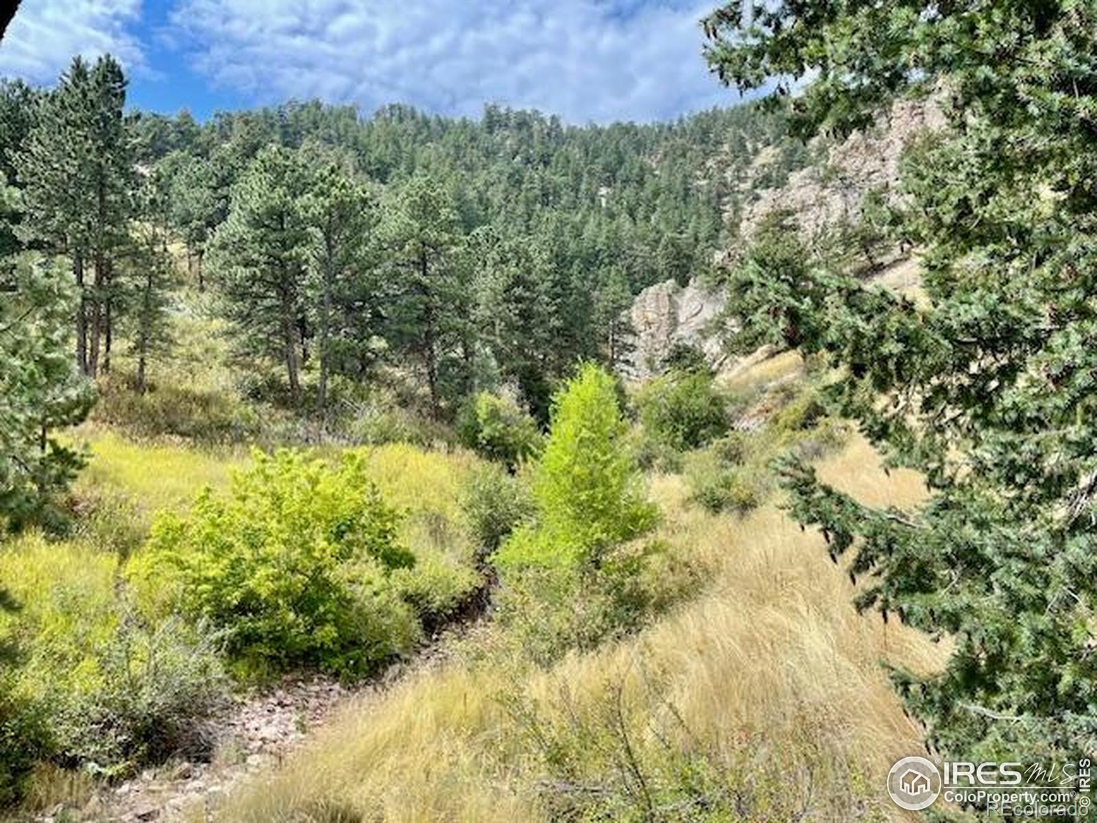 320 S Cedar Brook Road