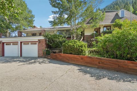 203 9th Street Georgetown CO 80444