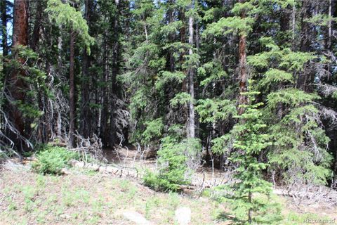 Group 13 Lamartine Road Idaho Springs CO 80452