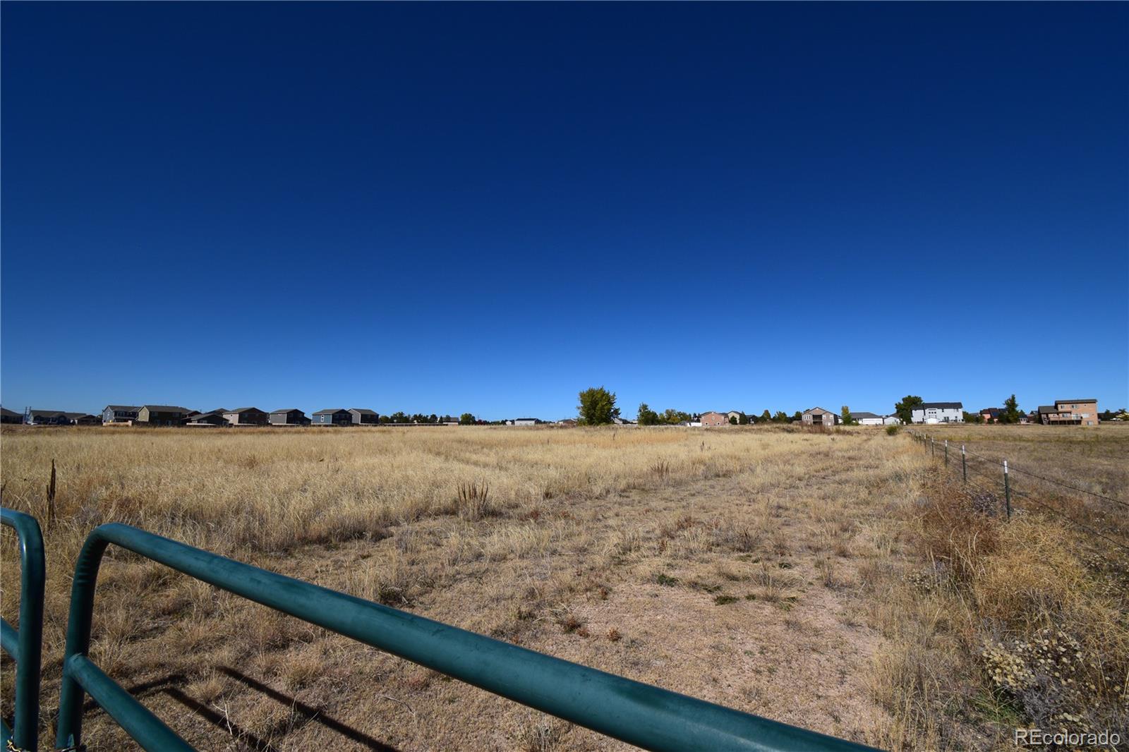 Bent Grass Meadows Drive