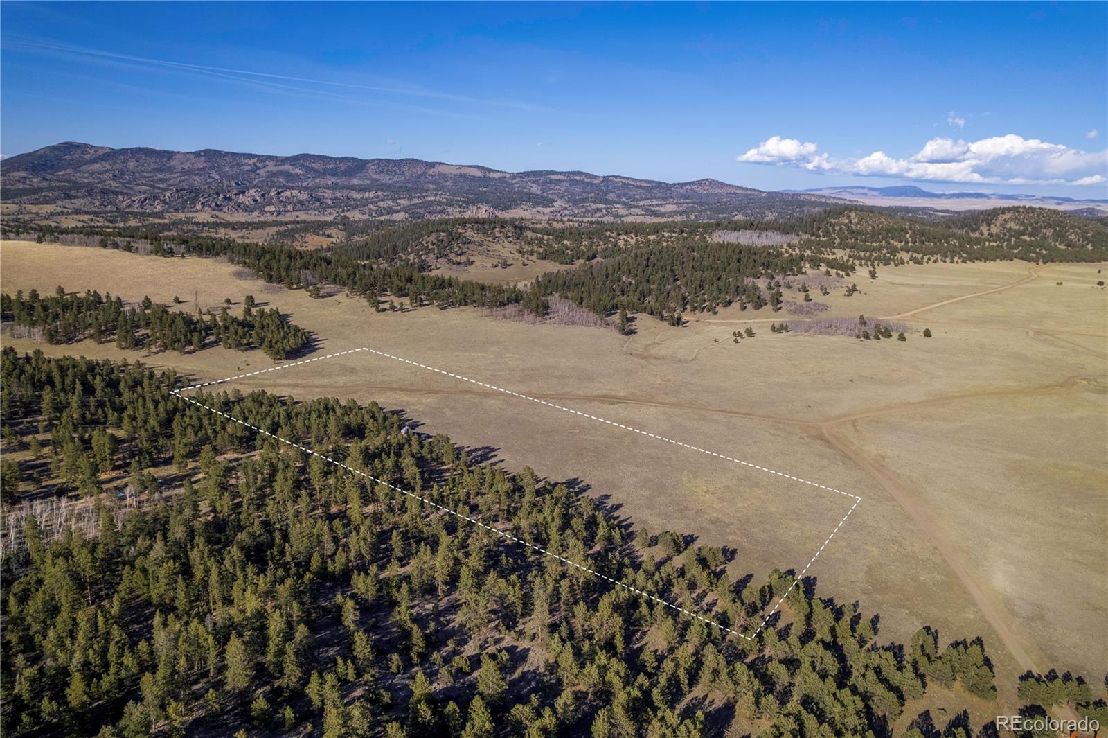 000 FS Road 185E