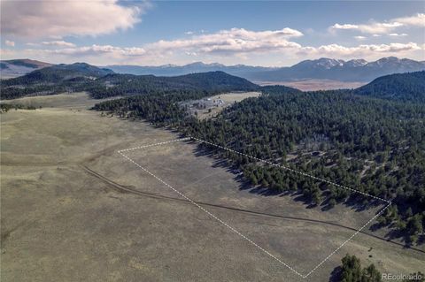 000 FS Road 185E Buena Vista CO 81211