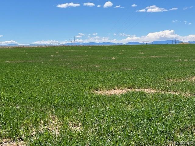 TBD County Road 19