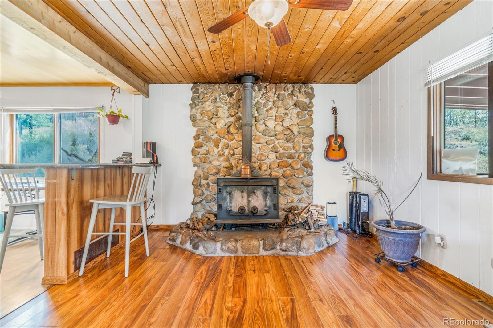 145 Bailey Drive, Bailey, CO, 80421 4 145 Bailey Drive