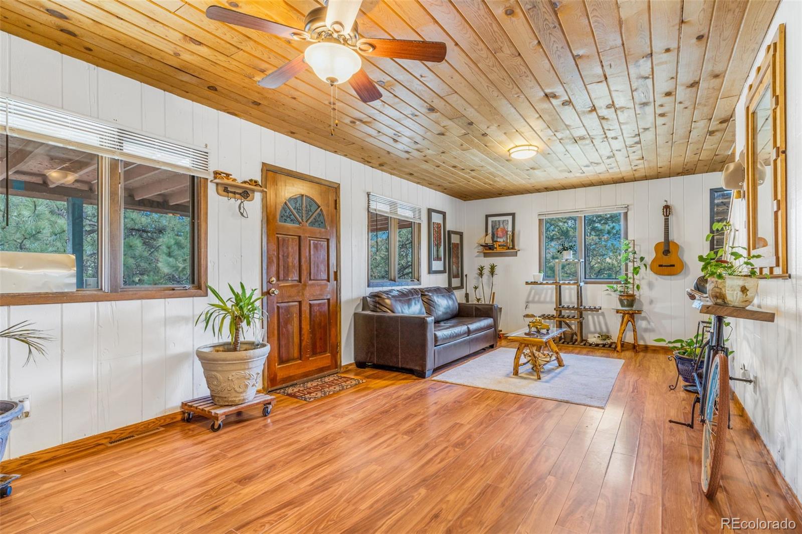 145 Bailey Drive, Bailey, CO, 80421 2 145 Bailey Drive