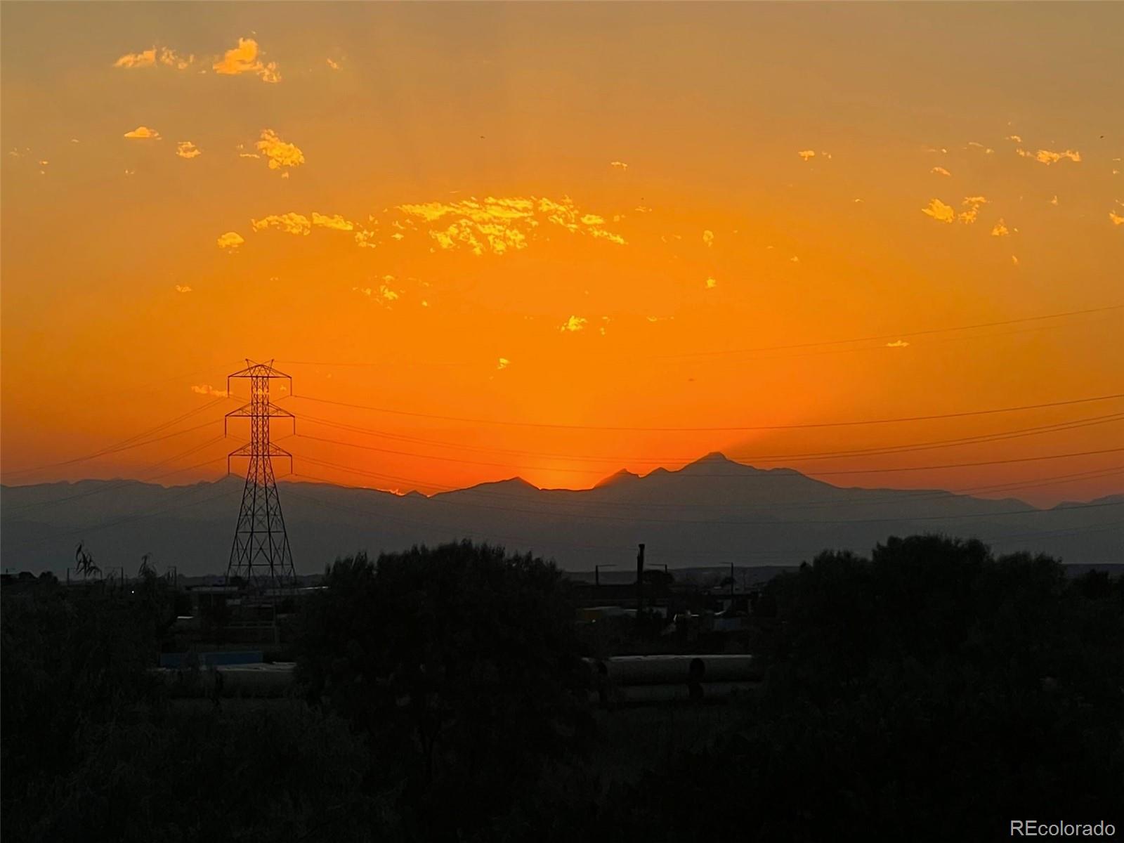 10227 Norfolk Street