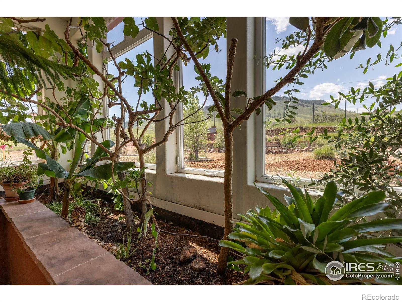 108 Lonestar Road