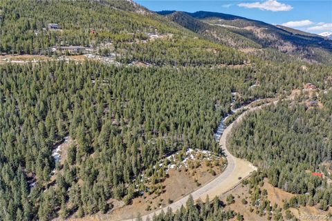 00 Saddleback Evergreen CO 80439