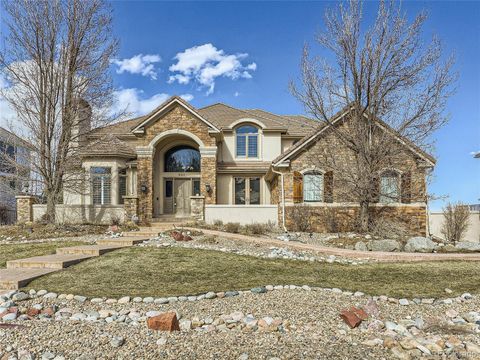 8501 Colonial Drive, Lone Tree, CO 80124 - #: 3125066