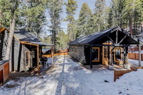 135 Squilchuck Trail, Woodland Park, CO 80863 - #: 2343331