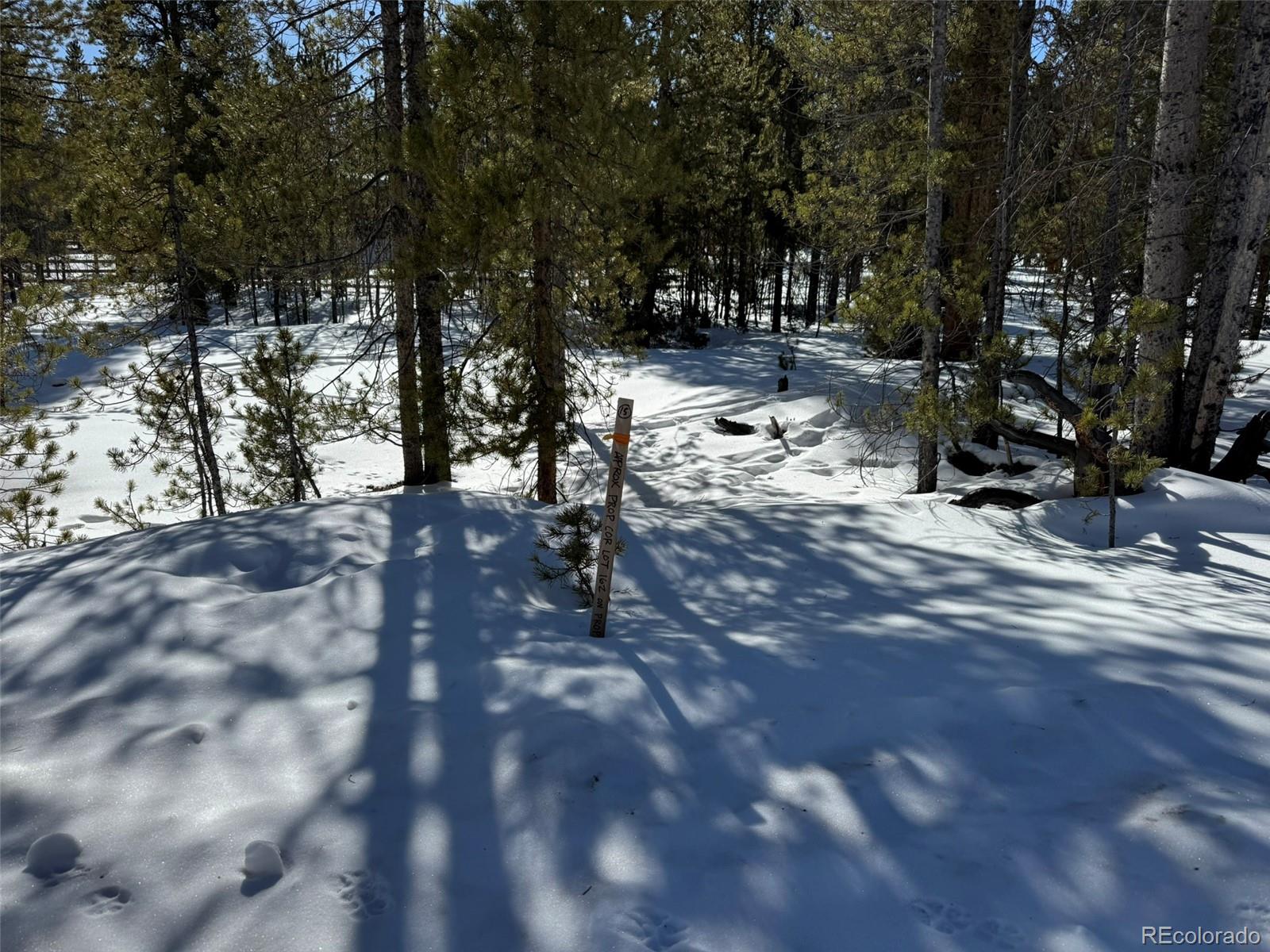 322 Fir Drive