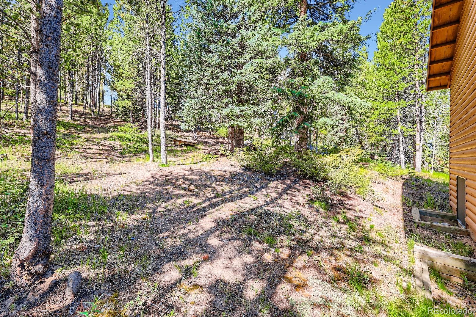 513 Vail Circle, Dillon, CO, 80435 2 513 Vail Circle