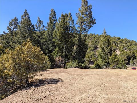 1593 Jaidi Road Fort Garland CO 81133