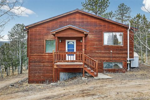 Photo of 38 Mesa Court, Bailey, CO 80421 (MLS # 1932546)