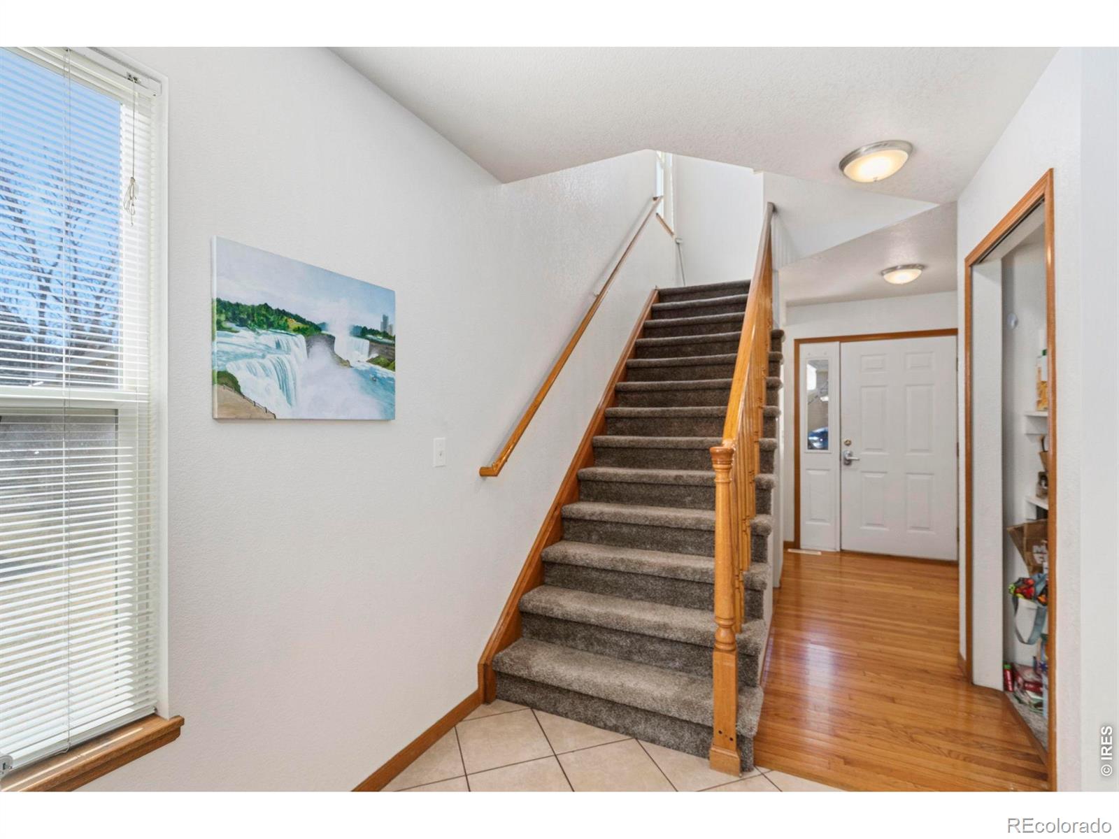 1637 Westbridge Drive D4