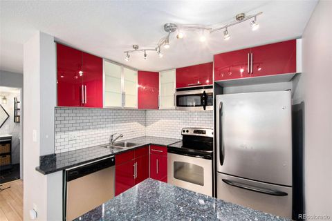 1032 N Clarkson Street 205 Denver CO 80218